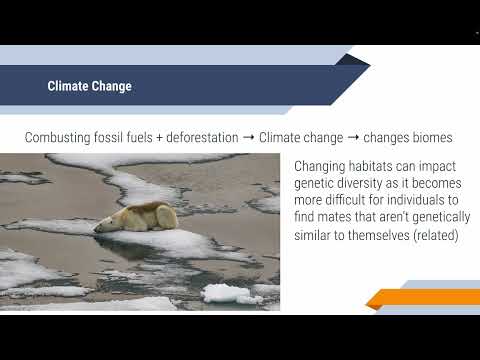 APES Human Impact on Biodiversity Notes