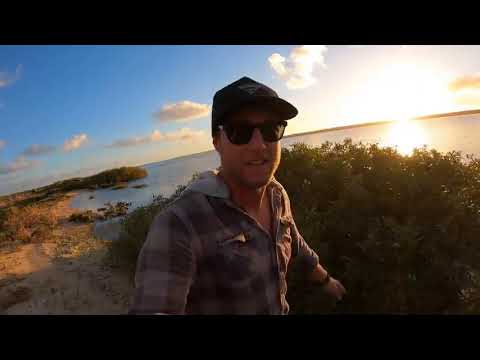 2       FOOD CHAIN FISHING CHALLENGE   tiny shrimp into HUGE SHARK