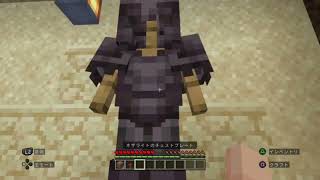 お別れ。【マイクラ】