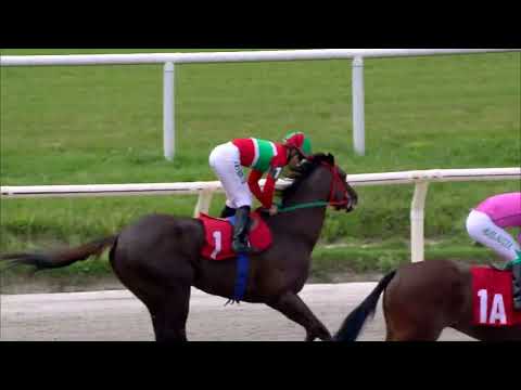 221120 c02 DOG ALICANTE