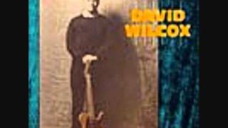 Cheap Beer Joint - David Wilcox