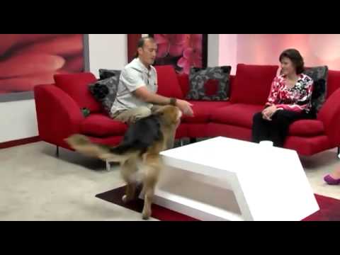 Dima and his "Good Boys" on live TV