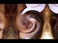 Heeriye Official Video Jasleen Royal Ft Arijit Singh Dulquer Salmaan Aditya Sharma Taani Tanvi