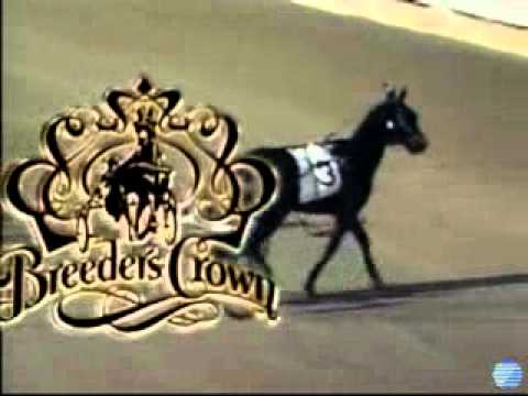 Breeders Crown 3Y Trot 2008 -In Focus