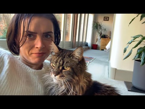 Are Maine Coon Cats Loving?