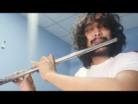 ආදරයේ ගීතය (Adaraye Geethaya) | Flute cover @kalanasubhashitha