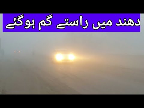 The fog enveloped the whole city, day and night