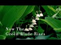 175 SDA Hymn - Now The Green Blade Rises (Singing w/ Lyrics)