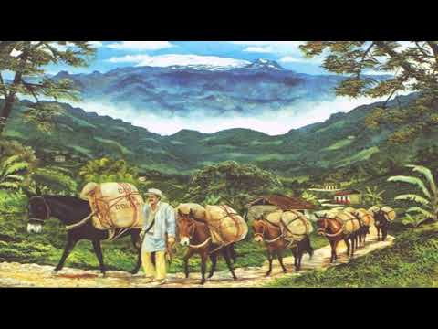 TOITICO BIEN EMPACAO KATIE JAMES