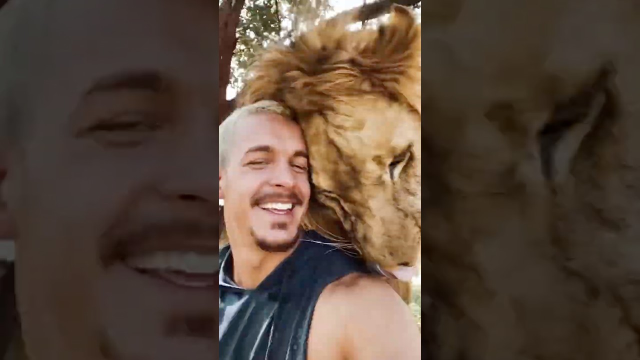 ライオンの赤ちゃんを助けたら・・・