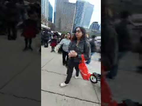 live! HALAL Bites Festival,  Toronto, Canada | Malik the Musafir, Soulful | Palestine, Morocco