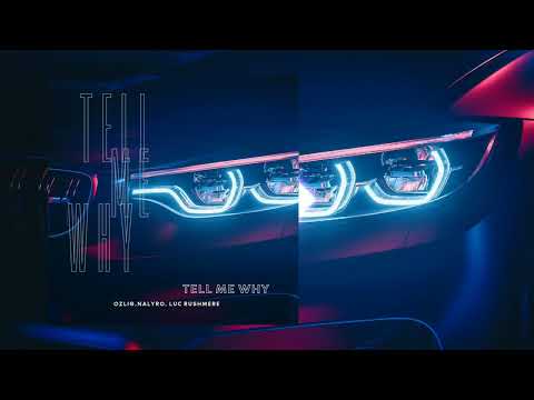 Ozlig, NALYRO, Luc Rushmere - Tell Me Why ( Vizualizer )