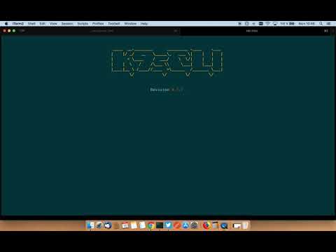 Shadowing Traffic on Istio