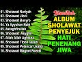 SHOLAWAT PENYEJUK HATI PENENANG JIWA SHOLAWAT JIBRIL PENARIK REZEKI BUSYRO SHOLAWAT TERBARU 2025