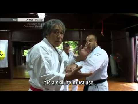 Tee - The True Spirit of Okinawan Karate