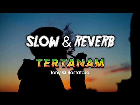TERTANAM (Slowed & Reverb) Sisa lamunanku...!!! #slowedandreverb #reggae #BANGMU