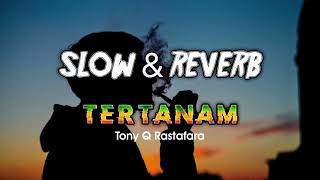 Download lagu TERTANAM (Slowed & Reverb) Sisa lamunanku...!!! #slowedandreverb #reggae #BANGMU mp3 Download lagu TERTANAM (Slowed & Reverb) Sisa lamunanku...!!! #slowedandreverb #reggae #BANGMU mp3