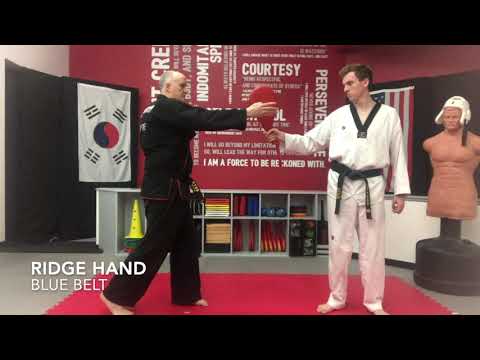 Techniques - Ridge Hand Strike
