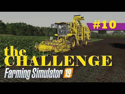 Sugar Beet Harvest & Selling Our First Eggs | Farming Simulator 19 Timelapse