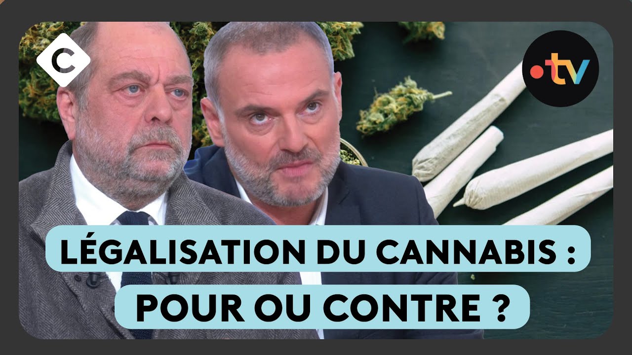 Cannabis : faut-il le légaliser ?