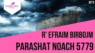 Parashat Noach