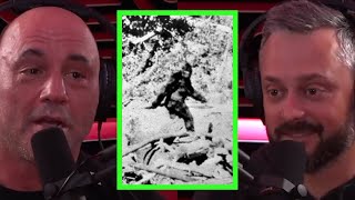 Joe Talks About Bigfoot and UFO&#39;s
