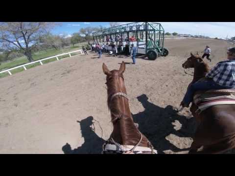 Horse Flips on Jockey in Gate - 2017 Mother's Day Horse Racing