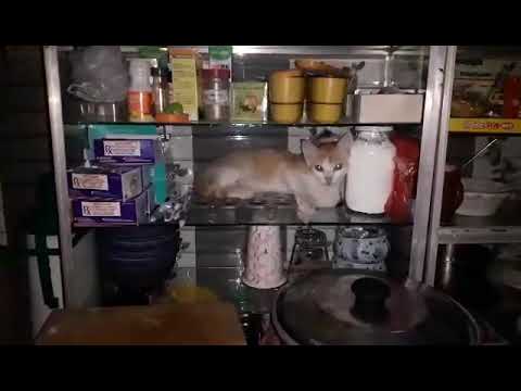 😂ginagawa mo dyan??