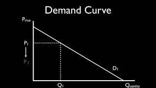 3. Movement Along the Demand Curve