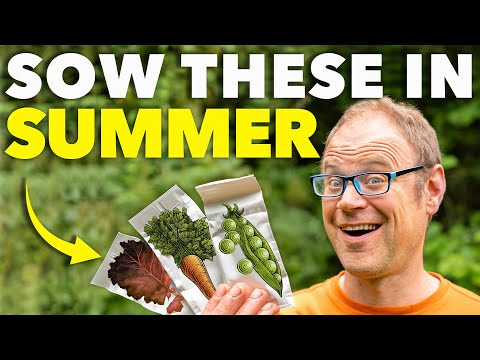 You Must Sow These Seeds in October