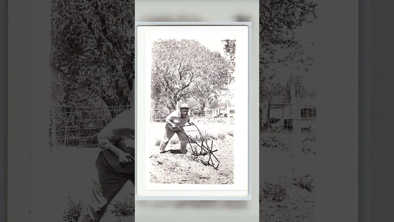 Man with Garden Plow, Gelatin Silver Print, 3.22 × 4.96 inches, 1970s Video