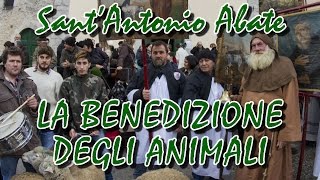 preview picture of video 'La Benedizione degli animali a Sant'Antonio Abate - Cascia 17 gennaio 2015'