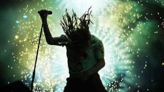 In Flames-Delight and Angers with lyrics (HQ)