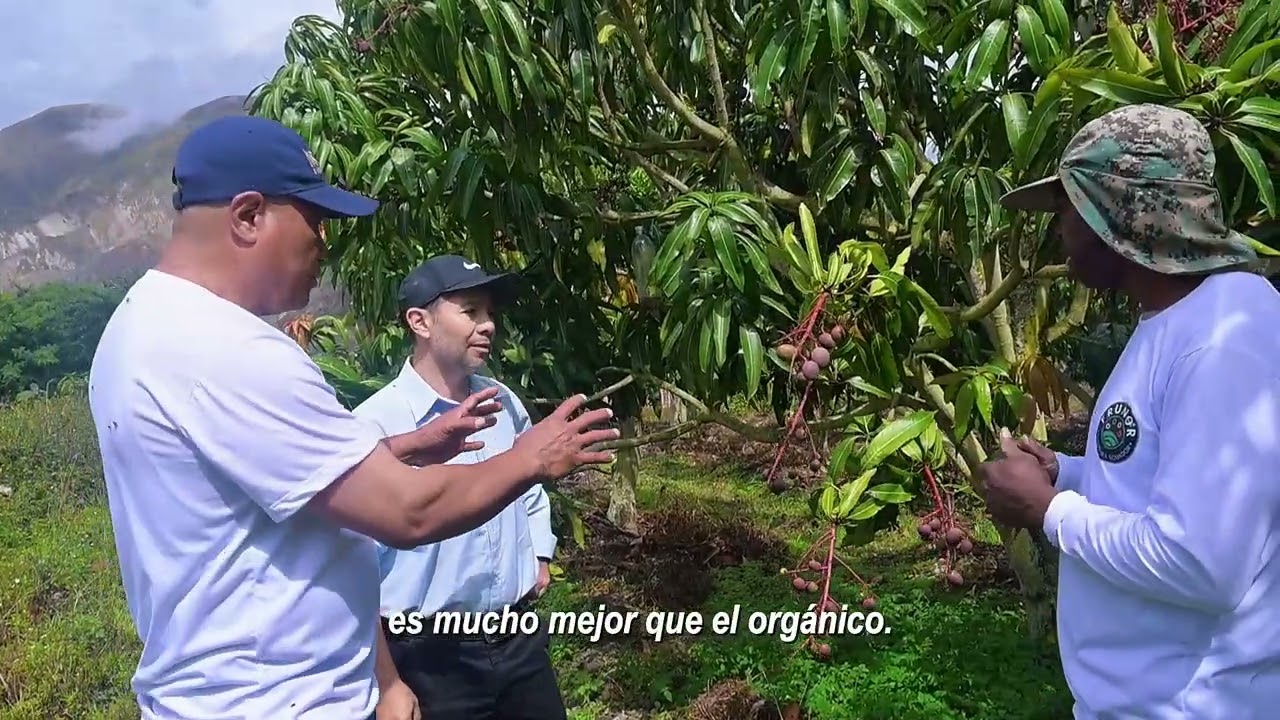 Biofábrica de producción de biofertilizantes y bioinsecticidas para control de plagas