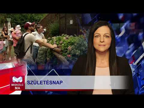 Videó előnézet