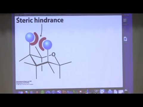 Kevin Ahern's Bite-Sized Biochemistry #17:  Carbohydrates II (Structure and Function)