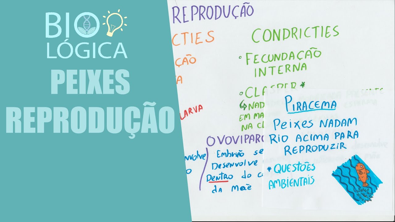 BIO LÓGICA! PEIXES - REPRODUÇÃO