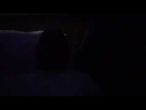 F@(k a celebrity..praise Yourself