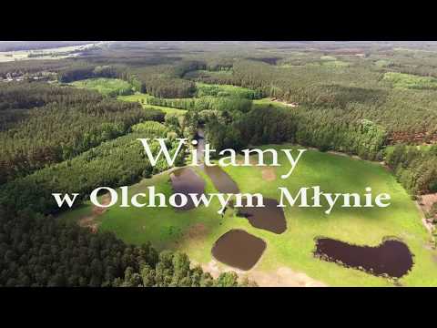 Olchowy Mlyn