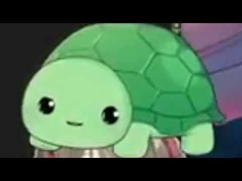 🐢 That's crazy🐢 That's actually crazy🐢That's messed up🐢