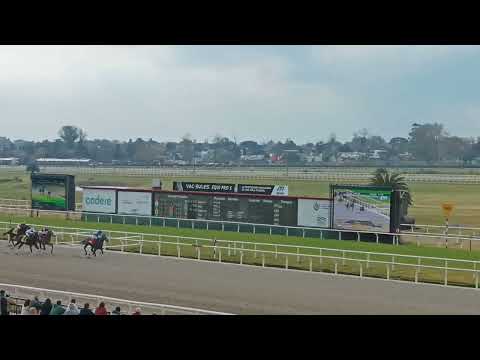 Compadrito VF - Campeones Juvenile Sprint