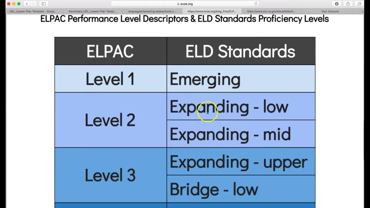 UDL Lesson Plan Template and Example