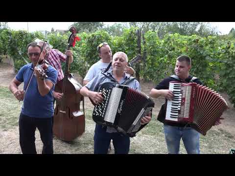 Pazovsky Orchster   Ked som isla vcera vecer, Ninto krajsie jak do domu