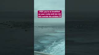 Never seen this on a cruise #cruise