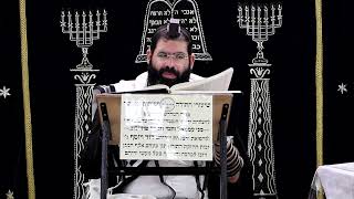 הוריות דף י"א ע''ב 2 ¤ הרב נתנאל אברז'ל ¤ בית הכנסת "בית מרדכי" (מוסדות תורת דוד) - התמונה מוצגת ישירות מתוך אתר האינטרנט יוטיוב. זכויות היוצרים בתמונה שייכות ליוצרה. קישור קרדיט למקור התוכן נמצא בתוך דף הסרטון