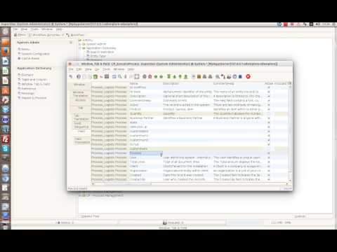 BPM - Adempiere Process Configurator: customize process window for logistic company.