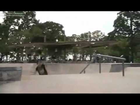 PS.SG - One Fine Day