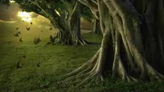 Dregd - Gathering Pebbels [Lyrics on screen]