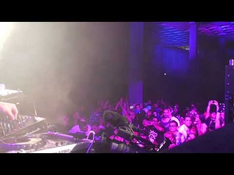 Inpetto live @ Love Festival 2010 - Los Angeles