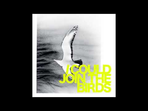 Video thumbnail for I Could Join the Birds